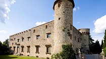 Private Tour and Wine Tasting at Castle-Wineries in Chianti from Florence
