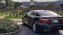 6 Hour Sonoma Wine Tasting Tour from San Francisco