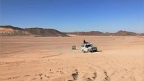 Sharm El Sheikh Excursion- Enjoy Quad Biking with Camel Ride & Bedouin Dinner