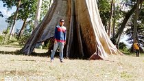 Lombok Safari Tour