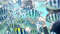 Gili Asahan Snorkeling Tour