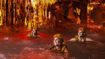 Xplor Fuego Tour,Wild Adrenalin, Round Transportation From Cancun