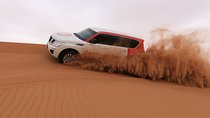 High Red Dunes with Camel Ride, Sandboarding, Falcon Show and VIP BBQ Dinner