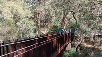 Kings Park Botanicals And Beyond