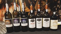 Private Lisbon Wine Tasting Trip to the Setubal Region with Hotel Pick-Up