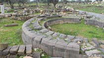 Private Full Day Trip of Umm Qais and Pella from Amman