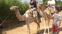 Special 2-days tour to Luxor from Hurghada,amazing package