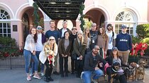 Charleston Chicora 2 Hours Walking Tour