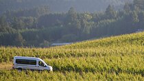 Chianti and Supertuscan Private tour with lunch from Livorno