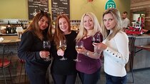 6 Hour Private Wine Country Tour (Sedan, SUV or Limo)