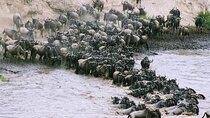 3 Days Budget Masai Mara Safari