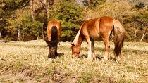 17-Day Private Nature Trip and Birding in Bhutan