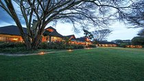 3 days Maasai Mara private Lodge safari at Keekorok from Nairobi