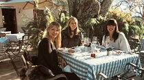 Full-Day Cape Town Private Tour for events with a Licensed Guide