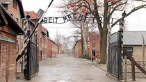 From Krakow: Auschwitz-Birkenau Memorial and Museum Guided Tour
