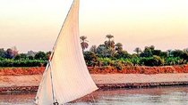 Visit to Edfu temple by train and Luxor west bank, lunch and Felucca