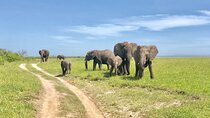 4-Day Kenya Masai Mara Safari from Nairobi