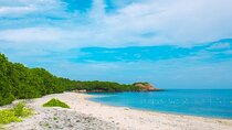 Trincomalee and Nilaveli beach Tour from Dambulla