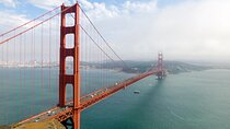 Muir Woods & Sausalito Tour