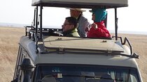 3 Days Maasai Mara Small Group Safari in a 4 x4 Land Cruiser Jeep