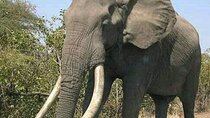 Latest Updates On The Top Best 3 day Serengeti Migration Safari