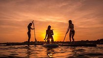 Miami Beach: Illuminated Sunset Paddleboard Tour