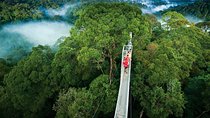 Private Transport San Jose to Monteverde