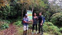 Private Guided Hiking Tour to the Blue Mountains 
