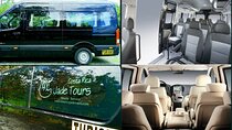 Private One Way Transfer from Manuel Antonio to Monteverde