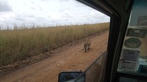 9 Days 8 Nights Safari by Ghalib