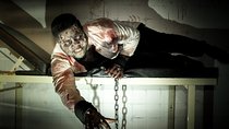 Private Escape Room with a Zombie in London