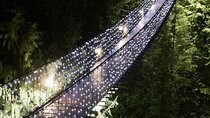 Vancouver Capilano Canyon light and peak of Christmas in Grouse mountain