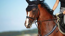 Private Tour west Bank Valley of the Kings including Came Ride