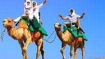 Cabo Camel and Safari Ride