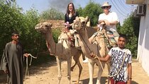 6 Nights Egypt Tours Includes Cairo, Aswan,Luxor and Nile cruise by plane