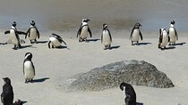 Private Garden Route Adventure with Addo