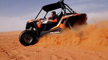 Dubai Buggy Tour in red sands and Desert Safari 