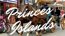 Princess Island Tour with Lunch & Ferry Ride