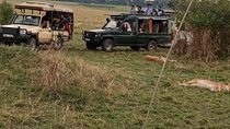 5 Days Lake Mnayara - Serengeti - Ngorongoro - Tarangire Camping group safari 