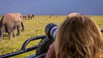 Victoria Falls to Chobe Park Day Tour Plus Boat Ride !