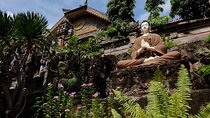 The Northern Bali Experience