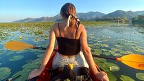 Skadar Lake Official - Kayak Tour