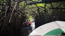 Bentota City Tour from Panadura
