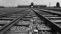 Auschwitz-Birkenau Guided Tour From Krakow