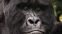 Private 5 Days Tour in Bwindi, Lake Bunyonyi and Lake Mburo 