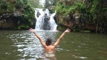  Marangu waterfall & Coffee making Cultural Tour | BURIGI CHATO SAFARIS CO LTD 