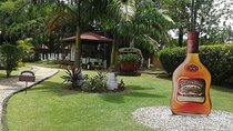 Appleton Estate Rum Tour and from Kingston