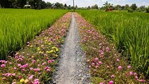 Private Mekong Delta Shore Excursions from Cruise Port