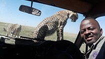 5 Days Tanzania Group Joining Safari, Tarangire/Serengeti/Ngorongoro Crater