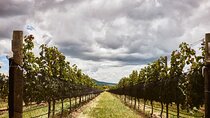 Private wine tasting & wine pairing tours